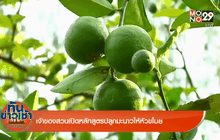 Good Morning Thailand 26-04-59