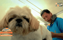 ธุรกิจอาบน้ำสุนัขเคลื่อนที่