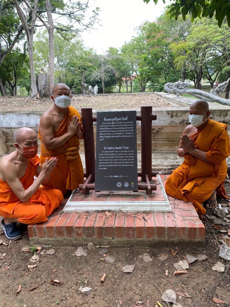 ลานต้นศรีมหาโพธิ์ วัดต้นโพธิ์ศรีมหาโพธิ