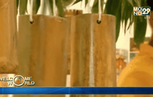 อินเดียหนุนใช้ไม้ไผ่ช่วยลดโลกร้อน