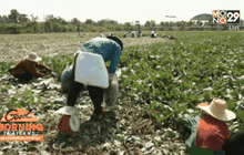 ครม. ขยายโครงการสร้างรายได้เกษตรกร 1 เดือน