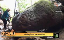 เร่งฟื้นฟูถ้ำนาคา ระหว่างปิดเที่ยว