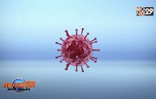 นักวิทยาศาสตร์พบเชื้อ HIV สายพันธุ์ใหม่