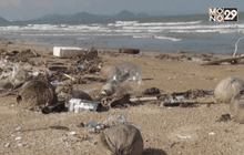 ขยะจำนวนมาก พัดเข้าชายหาดสามร้อยยอด