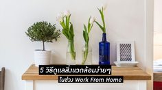 5 วิธีดูแลสิ่งแวดล้อมง่ายๆ ทำได้ในชีวิตประจำวัน ช่วง Work From Home