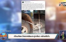 เตือนภัยระวังรถเหยียบตะปูเกลียว คล้ายเรือใบ