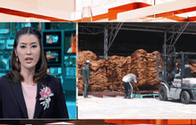 ก.เกษตร เตรียมตั้งจุดรับซื้อยาง 3,000 แห่ง