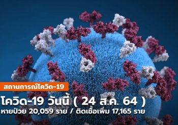 โควิด-19 วันนี้ (24 ส.ค.) หายป่วย 20,059 ราย  ติดเชื้อเพิ่ม 17,165 ราย