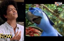 Rio อีกหนึ่งแฟรนไชส์สุดฮิตจากทีมงาน Ice Age