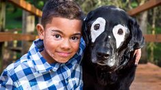 แล้วโลกก็เปลี่ยนไป!! หนูน้อยเคยเกลียดหน้าตัวเอง จนได้เจอหมาที่ป่วยเป็น โรคด่างขาว เหมือนกัน