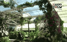 Good Morning Thailand 23-12-58