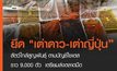 จับผู้ต้องหาลักลอบขน “เต่าดาว” สัตว์ใกล้สูญพันธุ์
