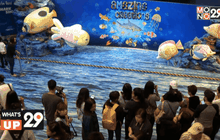 วาดฝันสุดมหัศจรรย์ใต้ทะเลลึก ณ ซีไลฟ์ แบงคอก โอเชียน เวิร์ล