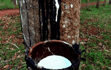 The Day News Update 07-01-59