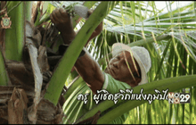Big HERO คนดีบ้านฉัน : สมทรง แสงตะวัน HERO ผู้ส่งเสริมและพัฒนาเศรษฐกิจชุมชน ตอนที่1/5