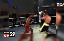 What’s up 29 24-10-58