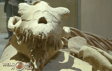 อียิปต์เปิดตัวพิพิธภัณฑ์ซากดึกดำบรรพ์แห่งแรก