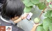 “โคโค่ เมล่อนฟาร์ม” ฟาร์มยุคใหม่กับการใช้ IOT