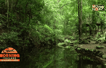 คนอยู่กับป่า ร่วมอนุรักษ์น้ำจ.เชียงใหม่