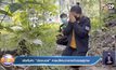 เร่งค้นหา “น้องบอส” หายปริศนากลางป่าดอยสุเทพ