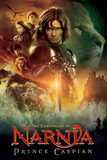 The Chronicles of Narnia : Prince Caspian อภินิหารตำนานแห่งนาร์เนีย ตอน เจ้าชายแคสเปี้ยน