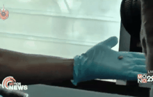 คนร้ายกราดยิงบ้านพัก ผบ.เรือนจำพัทลุง