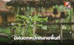 สภาพอากาศวันนี้ ไทยมีฝนตกหนักหลายพื้นที่