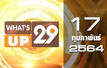 What’s up 29 17-02-64