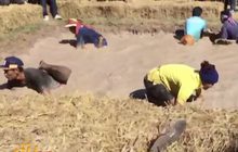 สนุกสุดมันส์! แข่งจับปลาไหลนานาชาติ