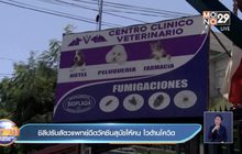 ชิลีปรับสัตวแพทย์ฉีดวัคซีนสุนัขให้คน โวต้านโควิด