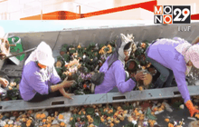 Motion News Break 2 (26-11-58)