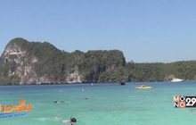 เตือนแมงกะพรุนไฟจำนวนมากในทะเลเกาะพีพี