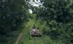 ชาวกัมพูชากังวลผลกระทบยกเลิก รถไฟไหม้ไผ่