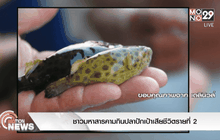 ชาวมหาสารคามกินปลาปักเป้าเสียชีวิตรายที่ 2