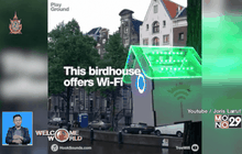 TreeWi-Fi ส่งสัญญาณ Wi-Fi เมื่ออากาศบริสุทธิ์