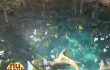 เที่ยวน้ำตกบัวตอง – น้ำพุเจ็ดสี