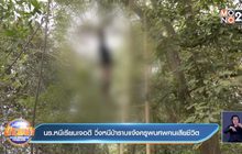 นร.หนีเรียนเจอดี วิ่งหนีป่าราบแจ้งครูพบศพคนเสียชีวิต