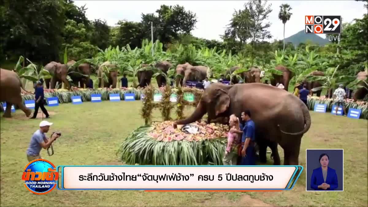 ระลึกวันช้างไทย “จัดบุฟเฟ่ช้าง” ครบ 5 ปีปลดกูบช้าง