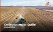 รัสเซียเผยผลผลิต ‘ธัญพืช’ สูงทุบสถิติใหม่