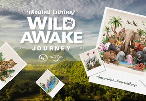 ททท. รุกตลาดในประเทศ คิกออฟ “WILD AWAKE JOURNEY”