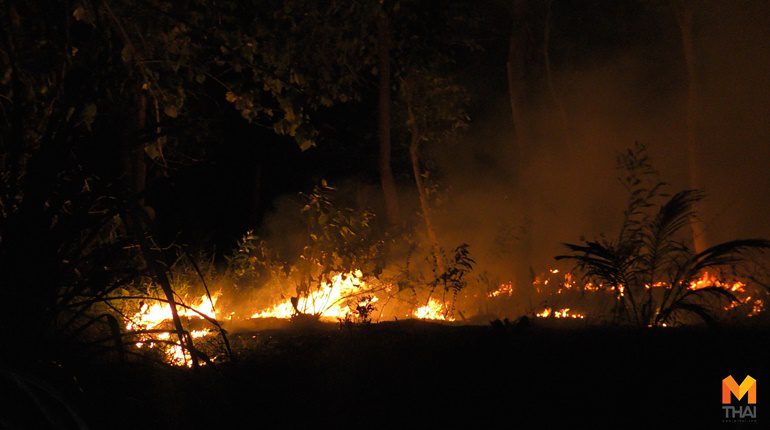 เจ้าหน้าที่ระดมกำลัง ดับไฟป่าในเขตอุทยานฯ ทั้งวันทั้งคืน
