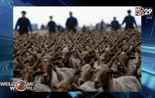 Welcome World 26-04-59