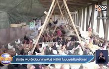 รัสเซีย พบไข้หวัดนกสายพันธุ์ H5N8 ในมนุษย์เป็นครั้งแรก