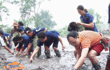 นวัตกรรมดำนาน้ำน้อย แก้ปัญหาภัยแล้ง