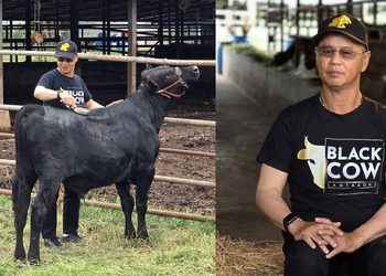 เนื้อโคพรีเมี่ยม BLACK COW LAMTAKHONG เพิ่มกำลังการผลิต ตั้งเป้าเป็น Soft Power ใหม่ของไทย