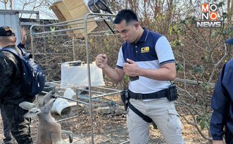 ตำรวจ บก.ปทส.รวบชาวสเปนลักลอบเลี้ยงสัตว์ป่าคุ้มครองในกาญจนบุรี