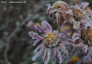 พยากรณ์อากาศ วันนี้ 9 ธ.ค.