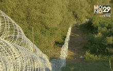 ฮังการีสร้างรั้วลวดหนามกั้นผู้อพยพ