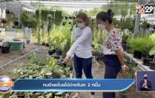 คนร้ายขโมยต้นไม้ด่าง มูลค่ารวมกว่า 5 แสนบาท