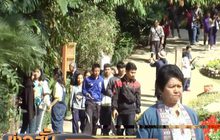 อากาศหนาวการท่องเที่ยวในภาคเหนือคึกคักต่อเนื่อง
